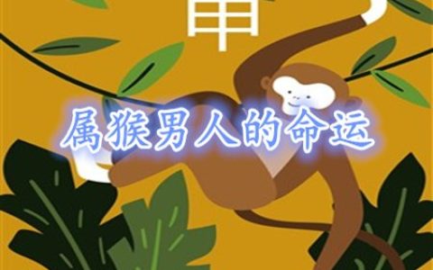 属猴的男人命好不好