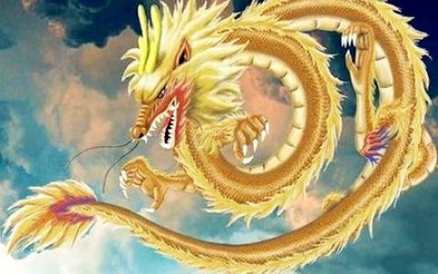 最适合属龙女的老公