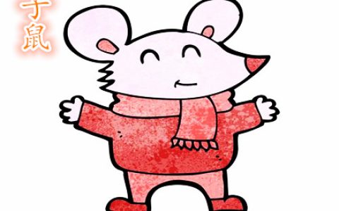 生肖属鼠的人长相如何
