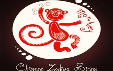 属猴的人取名