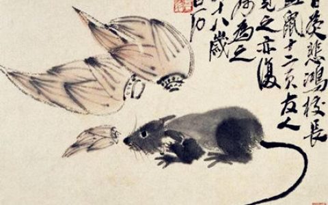 属鼠的本命佛是什么