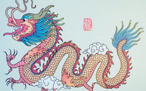 生肖龙适合养什么宠物