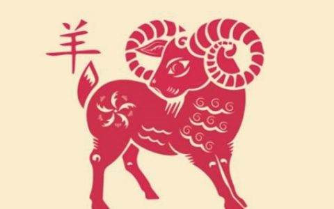 属羊适合养什么植物