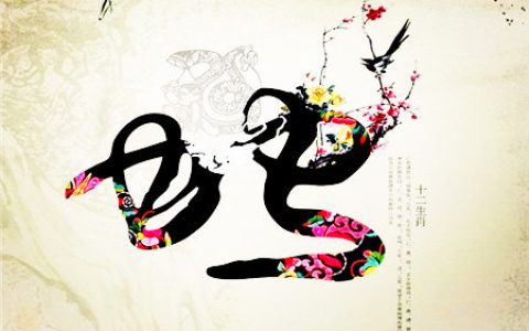 属蛇生于什么时辰财运好