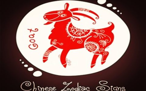 属羊的人取名
