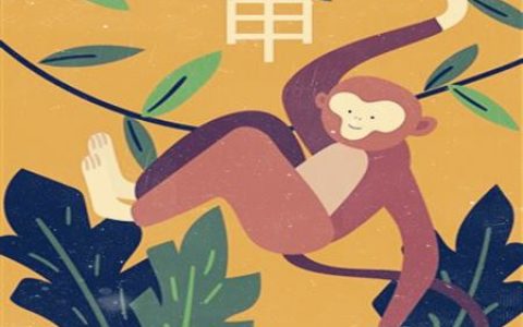 属猴适合什么职业