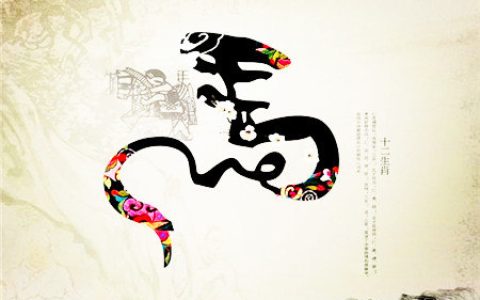 属马生于什么时辰财运好