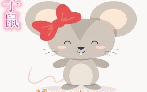 属鼠纹身纹什么旺财
