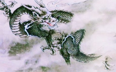 属龙办公室放什么植物旺财