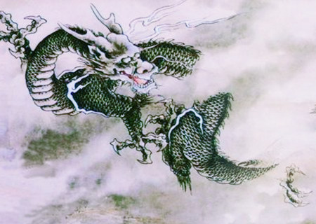 属龙办公室放什么植物旺财
