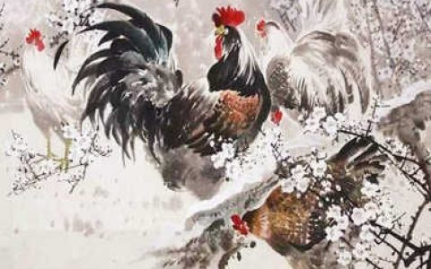 属鸡人的命好不好