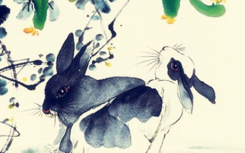 属兔的桃花运在几月份