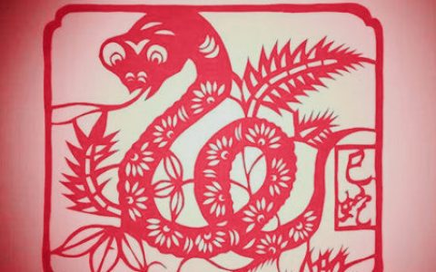 属蛇人起名字的宜忌
