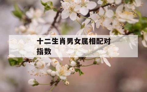 生肖配对指数高好吗