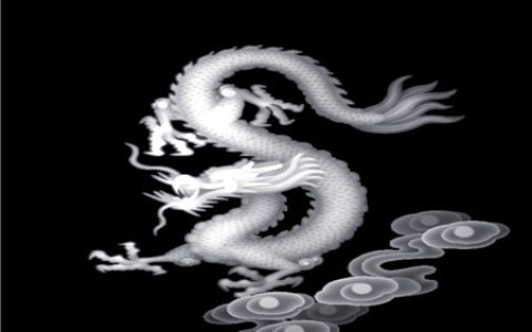生肖龙什么年份犯太岁