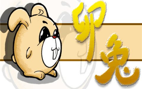 属兔床头朝哪个方向好