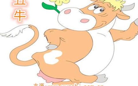 属牛纹身纹什么旺财