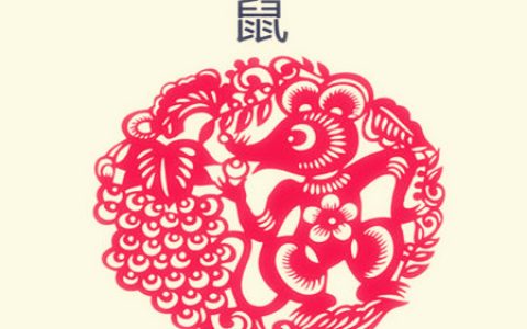 属鼠男人的财运好不好