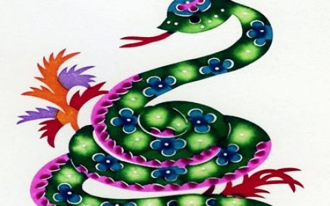 属蛇今年健康运如何