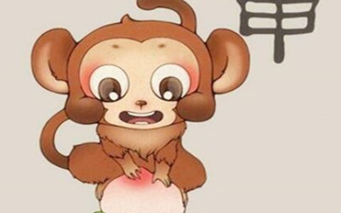 猴和猴的属相合不合 - 猴和猴婚配怎么样