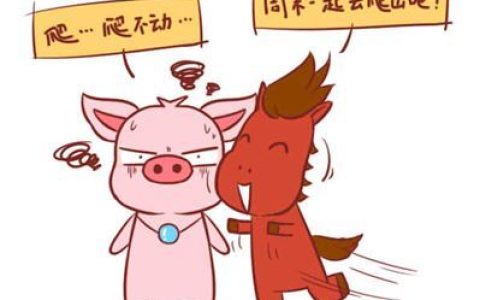 猪马相克吗 不是相克对象