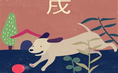 属狗适合什么职业