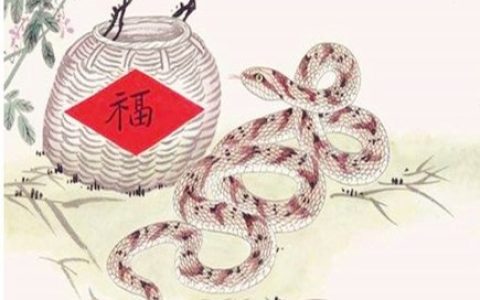 生肖蛇哪年有横财