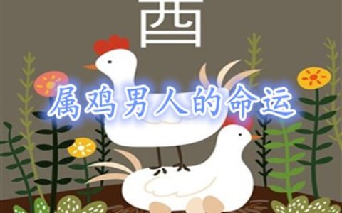 属鸡的男人命好不好
