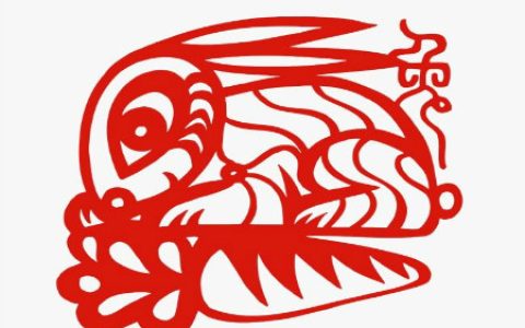 属兔住几层楼最好