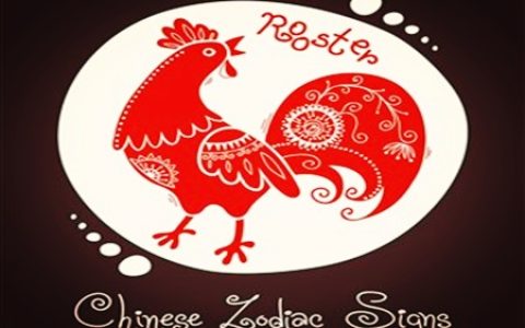 属鸡的人取名