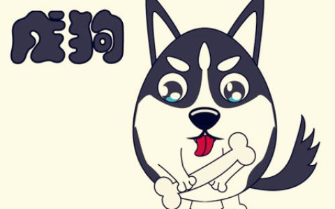 属狗的人办公室风水布局