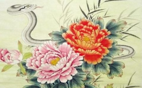 属蛇女人婚姻与命运