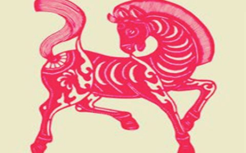 属马办公室放什么植物旺财