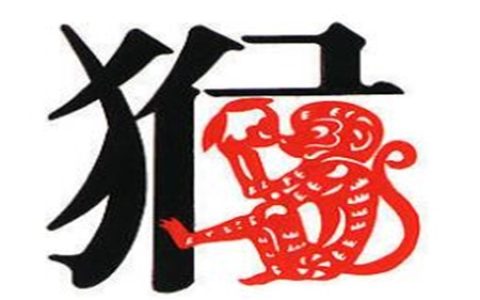 生肖属猴男最怕几月出生