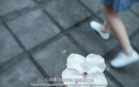 这种面相的才是顾家好男人