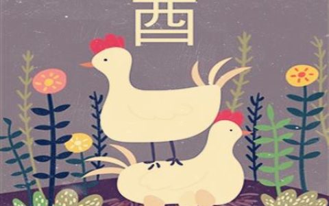 属鸡适合什么职业