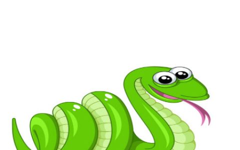 属蛇住几层楼最好