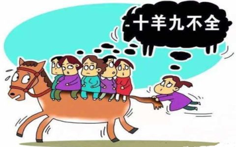 属羊的人命好不好 - 为什么属羊的人命不好