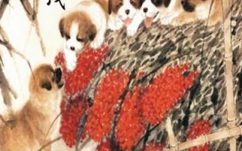 属狗人的命好不好