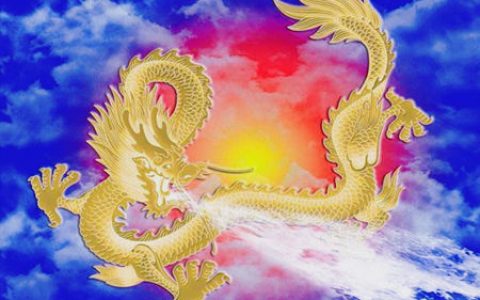 属龙和什么生肖合财