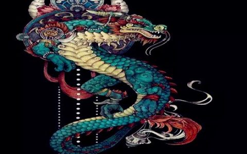 属龙人和什么生肖合作好