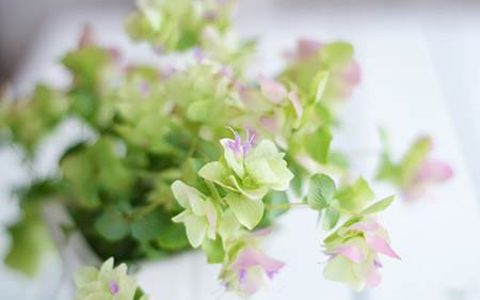 房子正南方缺角有哪些化解方法_房子正南方缺角的危害