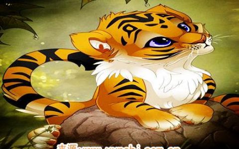 属虎纹身纹什么旺财