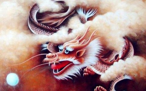 生肖龙取名的宜忌