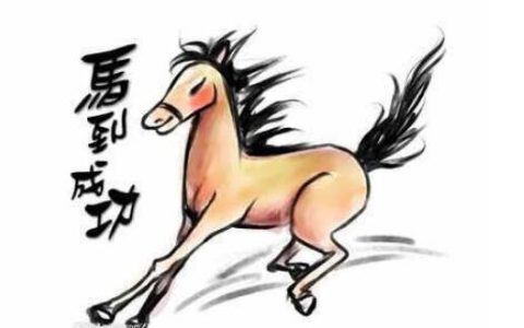 属马的人命好不好 - 马年出生的人性格特征