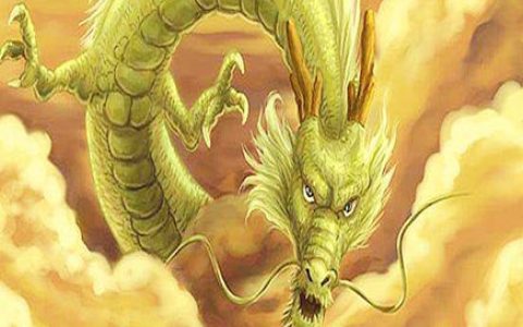 属龙人家里养什么植物好