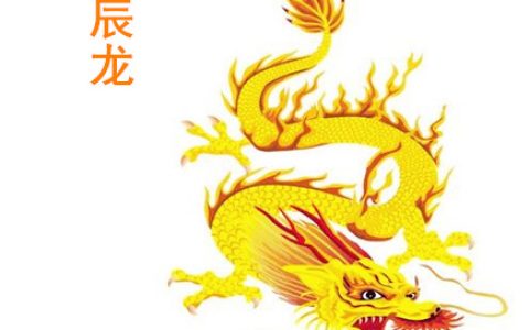 属龙人的办公室布局 - 属龙人办公室风水解析