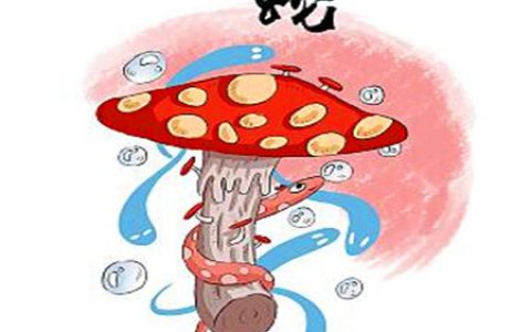 属蛇的男人对待感情如何