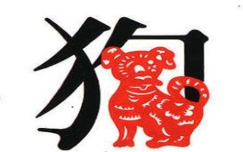 生肖属狗男最怕几月出生