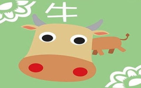 属牛人遇见知己